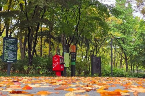 “우면산코스, 서울둘레길의 숨겨진 자연 힐링 명소”