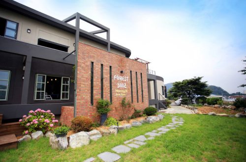 부산 녹산동 포레스트3002, 잔디밭 뷰와 갤러리까지 갖춘 복합 문화 카페