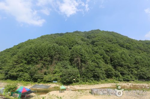 강원 영월 구룡산, 사계절 등산과 절경 감상, 자연과 문화가 어우러진
