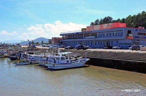 전라남도 보성 율포항, 푸른 바다와 해변 산책 코스