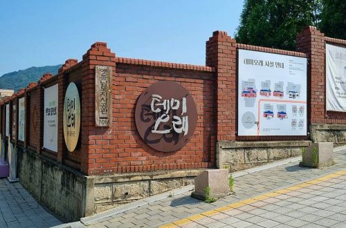 대전 보문로 테미오래, 문화와 힐링이 어우러진 숨은 명소