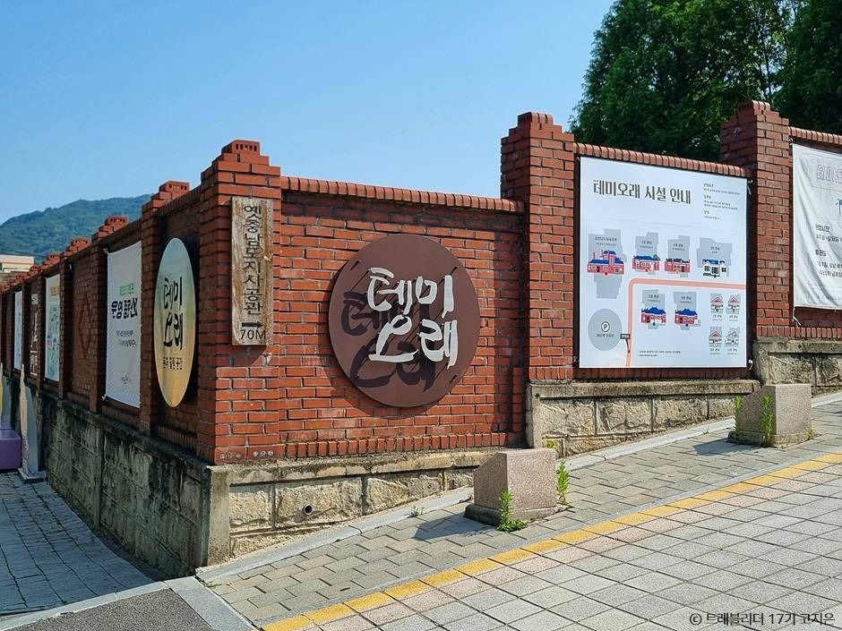 대전 보문로 테미오래, 문화와 힐링이 어우러진 숨은 명소