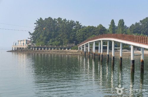비토해양낚시공원, 바다 전망과 자연 체험이 매력적인 힐링 명소