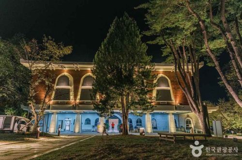 공주 국고개길에 숨은 충청남도역사박물관, 살아있는 지역사와 전시 탐방