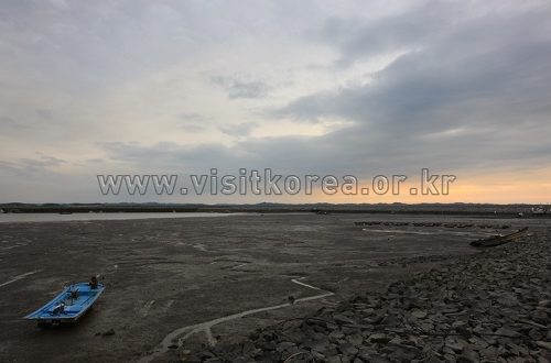 충남 해안으로 떠나는 겨울 맛 기행
