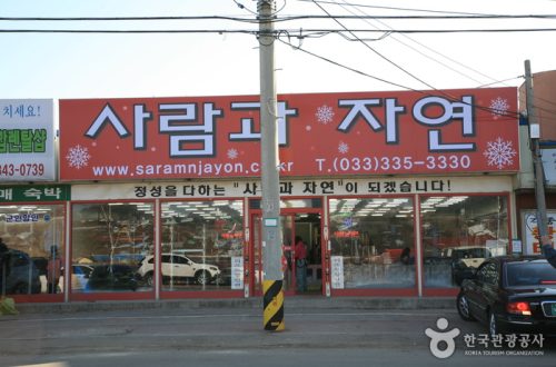 평창 대관령 올림픽로 레포츠, 자연과 함께하는 액티비티